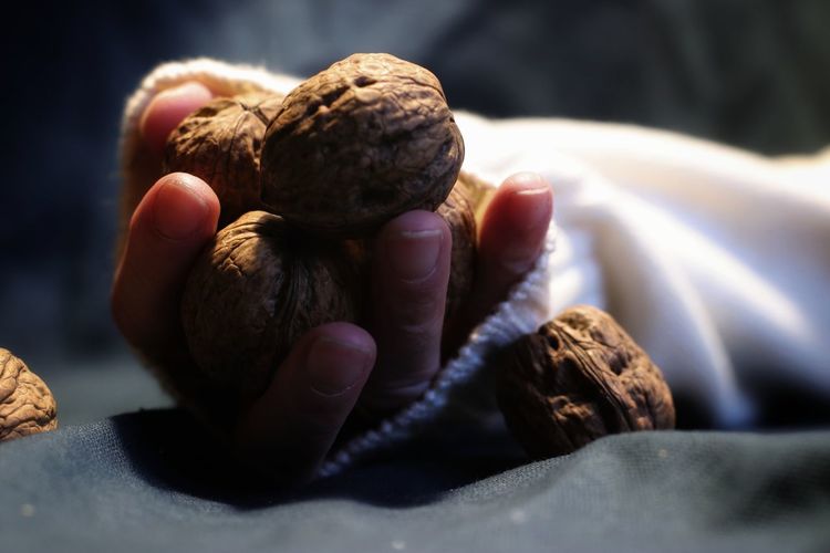 Close-up of hand holding walnuts 