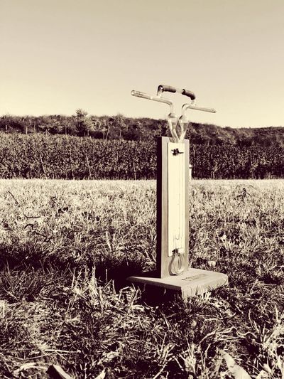 field