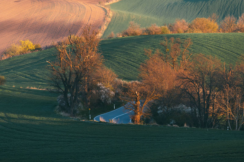 Road through the hills in the spring, south moravia, czech republic