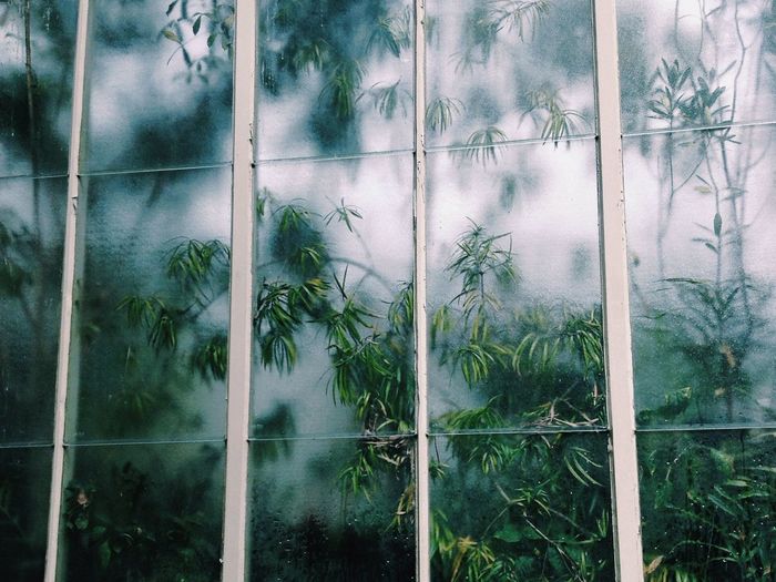 FULL FRAME SHOT OF WINDOW