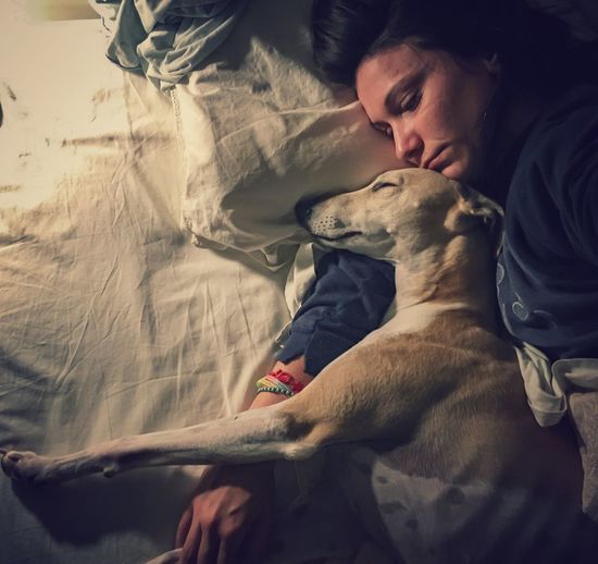 High angle view of woman sleeping with dog on bed