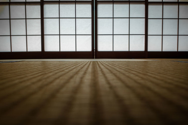 Surface level view of hardwood floor