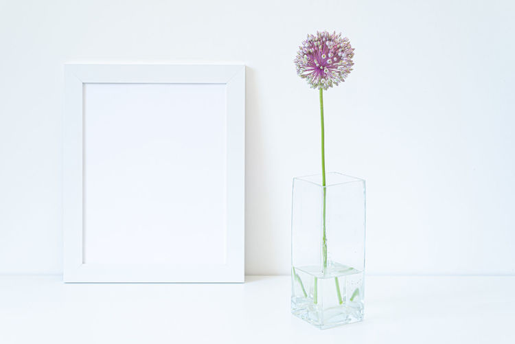 Flower vase against white background