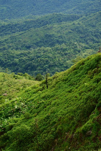 High angle view of landscape