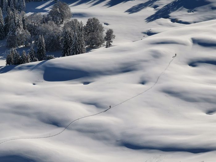 Scenic view of snow covered land and trees
