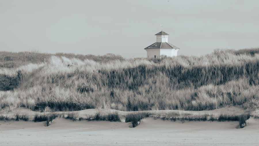 winter