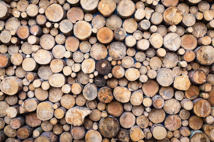 Full frame shot of logs