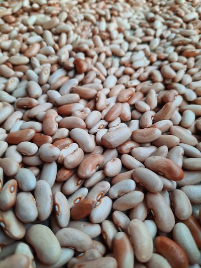 Close-up of organic healthy beans.