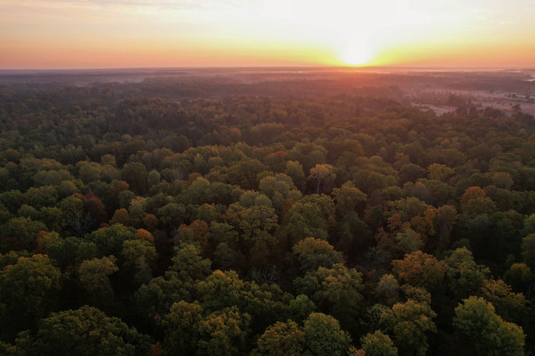 High angle view of trees against sky during sunset