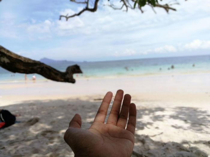 Cropped hand of woman at beach against sky