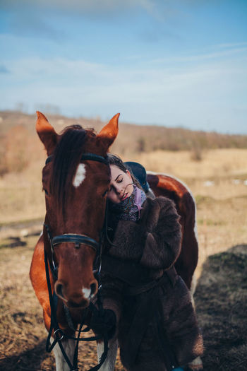 Horse in a field