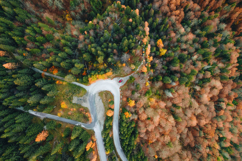 High angle view of agricultural field