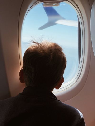 Rear view of man looking through airplane window