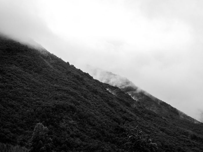 Cloudy mountain side with forest