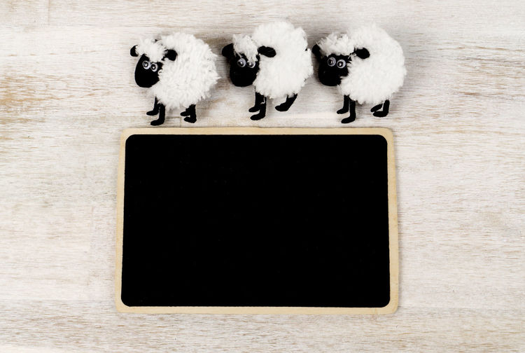 Directly above shot of sheep toys by blank slate on table