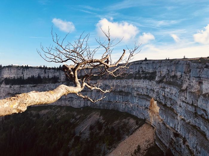 Bare tree by rock formation against sky
