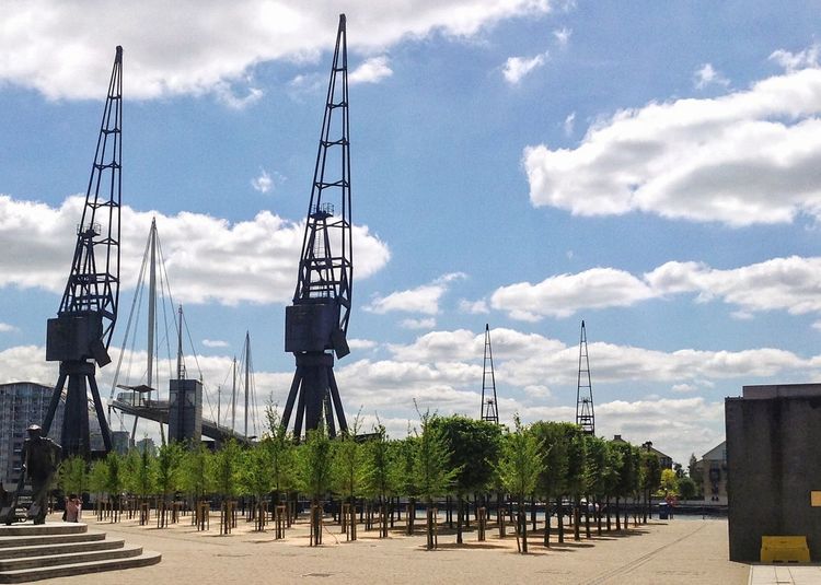 Cranes and trees against sky at dock in city