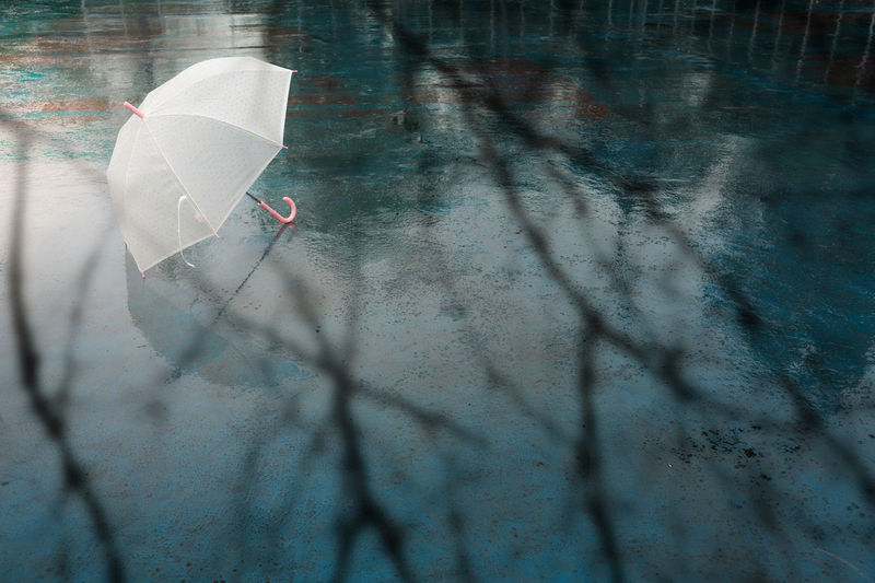 High angle view of umbrella on wet day