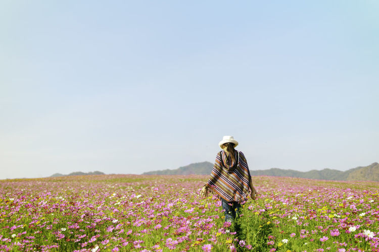 Rear view of woman walking on flowering field against clear sky