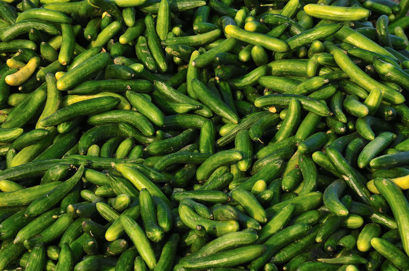 Full frame shot of vegetables for sale at market, cucumbers