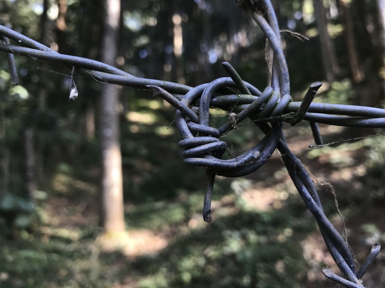 CLOSE-UP OF BARBED WIRE HANGING ON METAL
