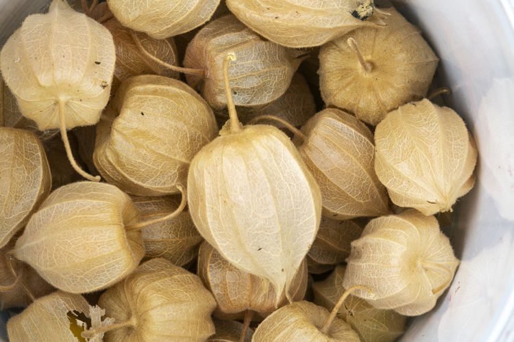 Pile of fruits called phisalis create a yellow background