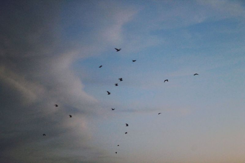 Low angle view of cloudy sky