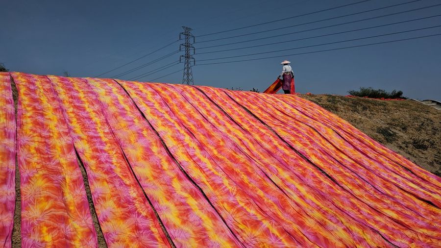 Low angle view of textile drying on land