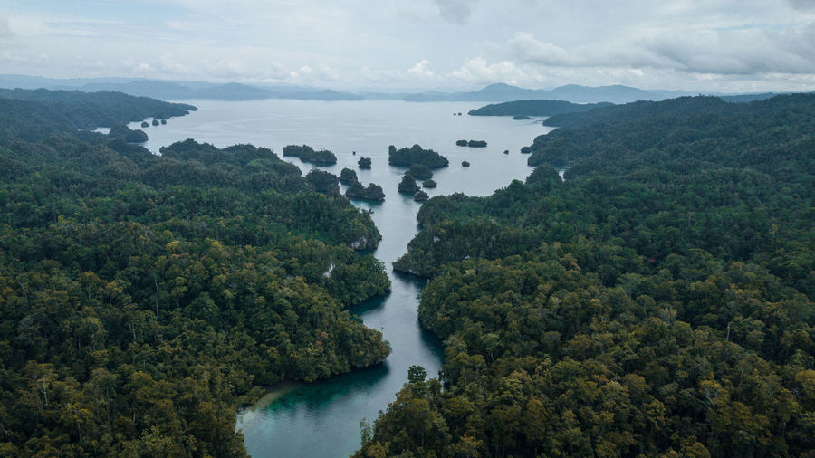 High angle view of river amidst trees against sky