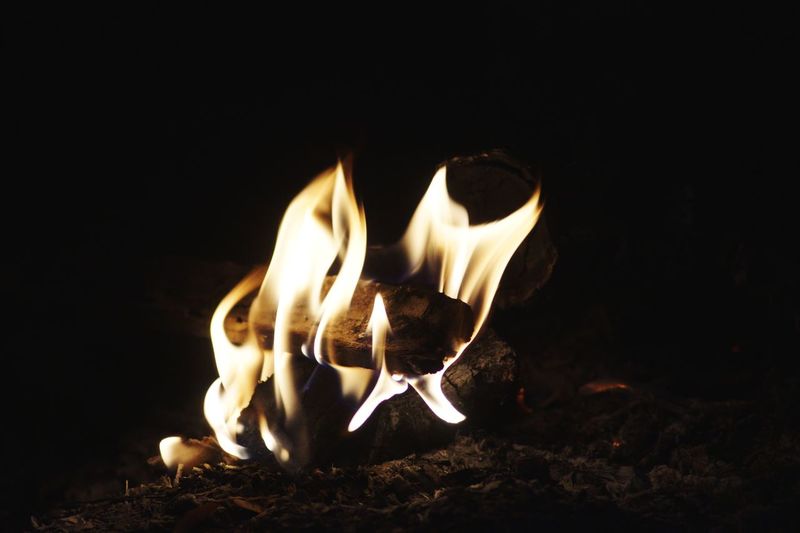 Close-up of burning fire in the dark