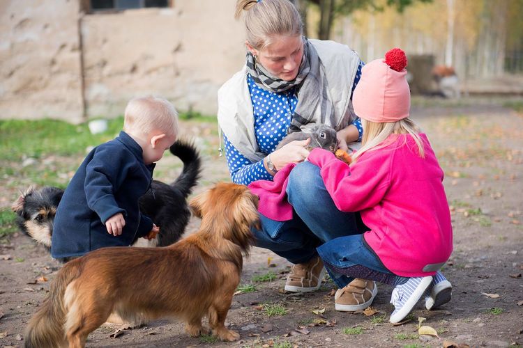 Happy family-mother with  children hugging and feeds pets dogs, cats and goats in countryside farm