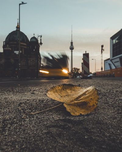 Blurred image of bus moving by fallen leaf on road during sunset