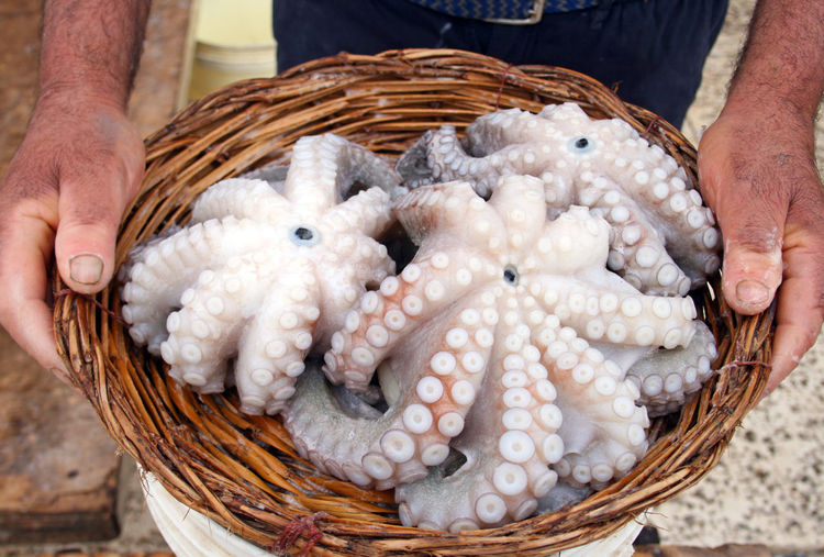 Midsection of man holding octopus in basket