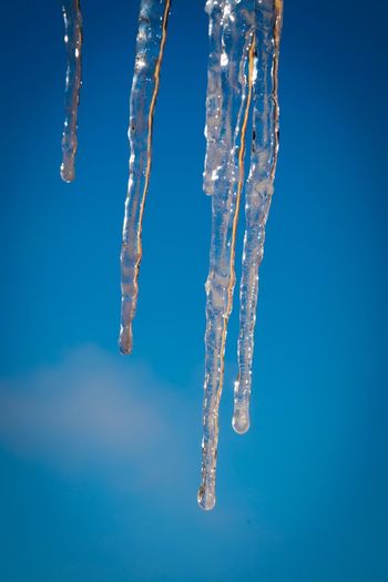 Close-up of icicles against blue sky