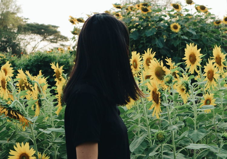Rear view of woman standing against sunflower