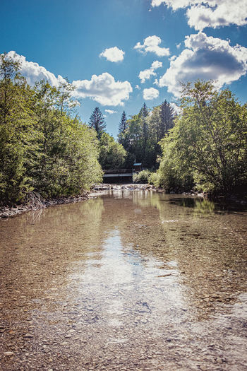 Scenic view of lake in forest against sky