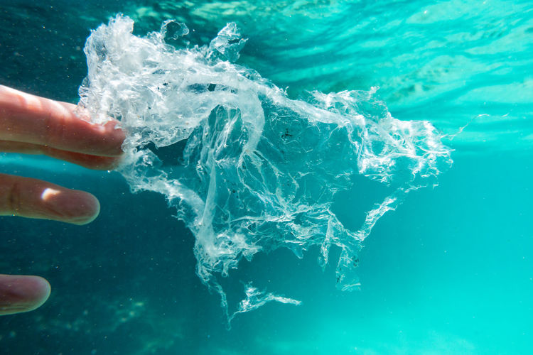 cropped image of person swimming in sea