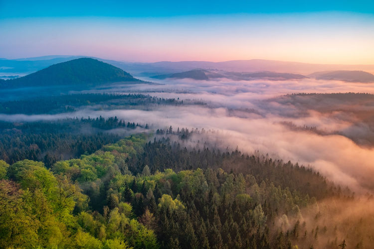 Lazy misty morning. foggy forest during autumn sunrise, saxon switzerland, germany.