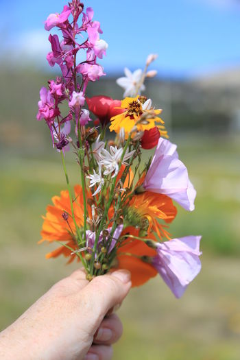 Cropped image of woman holding various flowers at field