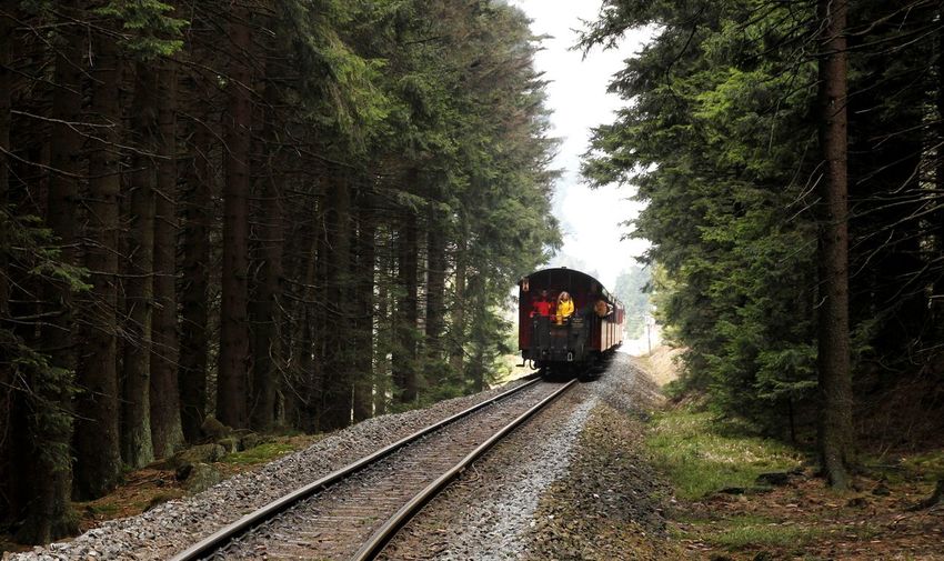 Train amidst trees against sky