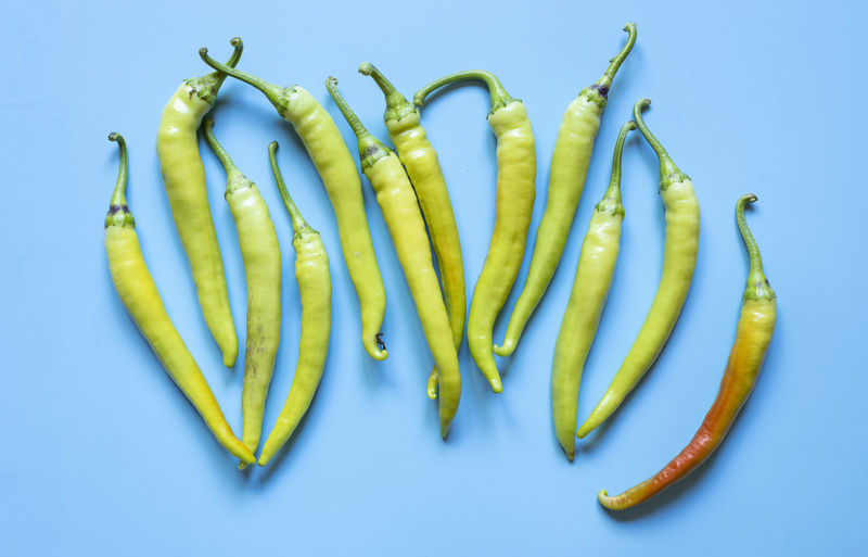 High angle view of green chili pepper against blue background