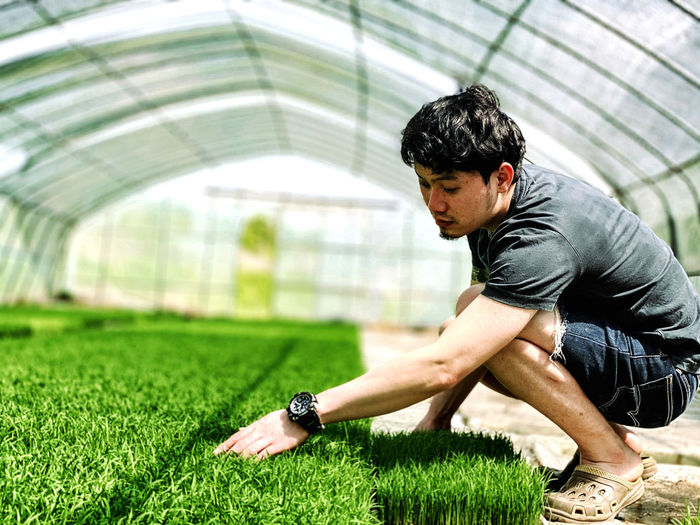 Side view of young man looking at grass