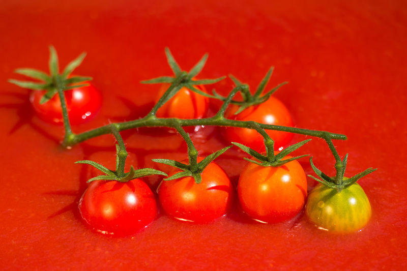 Close-up of cherry tomatoes