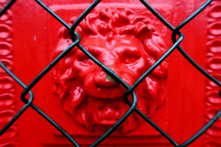 Full frame shot of lion behind chainlink fence