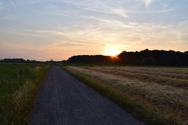 Road amidst agricultural field against sky during sunset