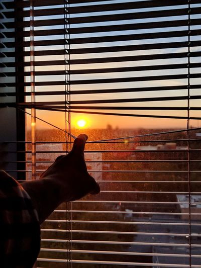 Cropped image of hand on window blinds during sunset