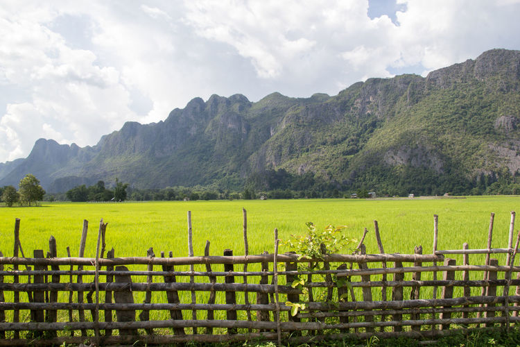 Scenic view of agricultural field against sky