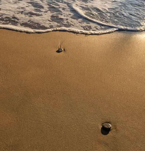 High angle view of bird on beach