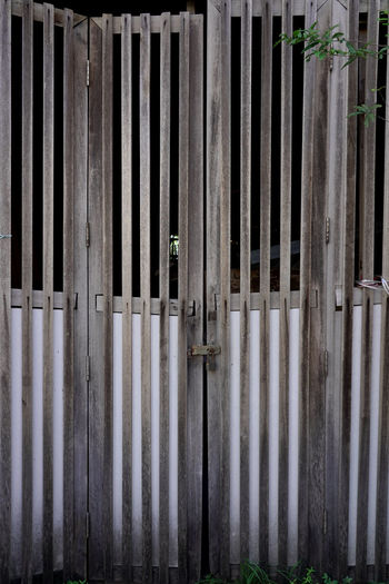 Closed metal gate of building