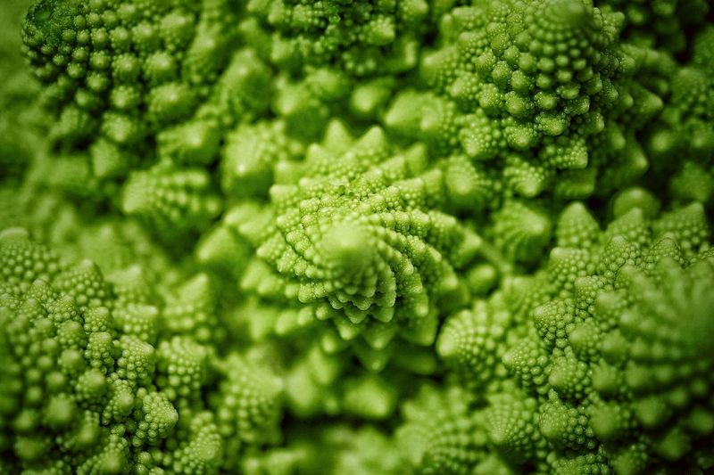 Close-up of green vegetable